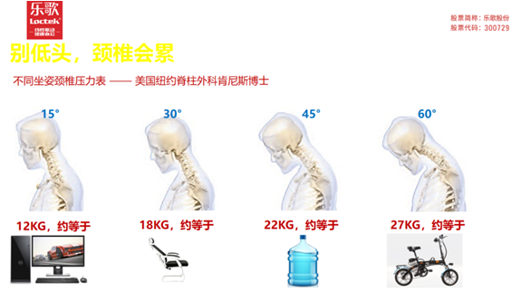 乐歌健康人体工学产品系列